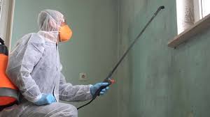 Mold Remediation for Rental Properties in Carbondale, IL